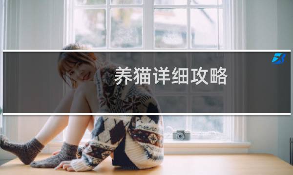养猫详细攻略