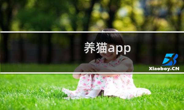 养猫app 攻略