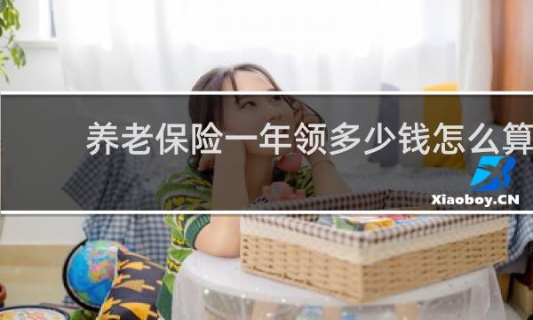 养老保险一年领多少钱怎么算