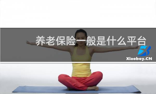 养老保险一般是什么平台