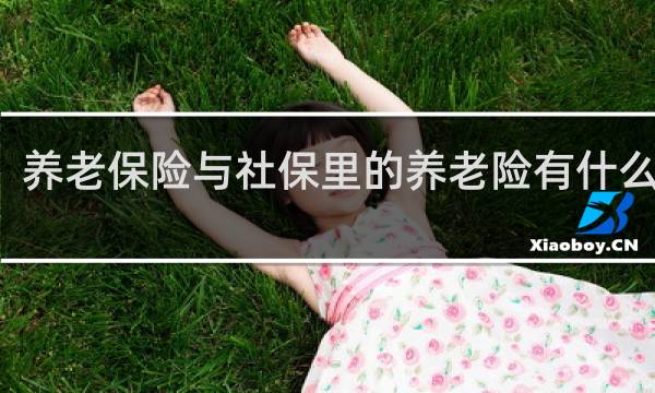 养老保险与社保里的养老险有什么区别