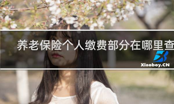养老保险个人缴费部分在哪里查询