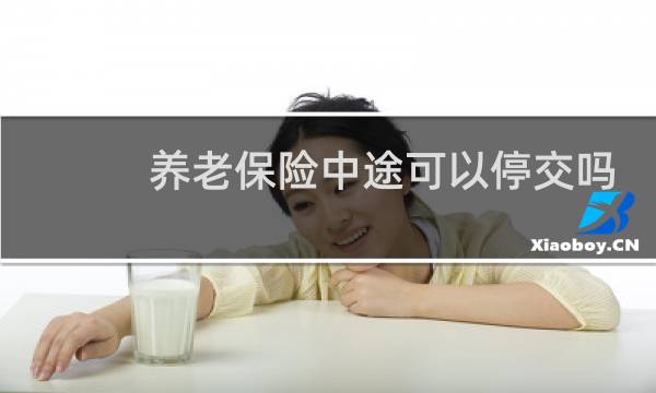 养老保险中途可以停交吗