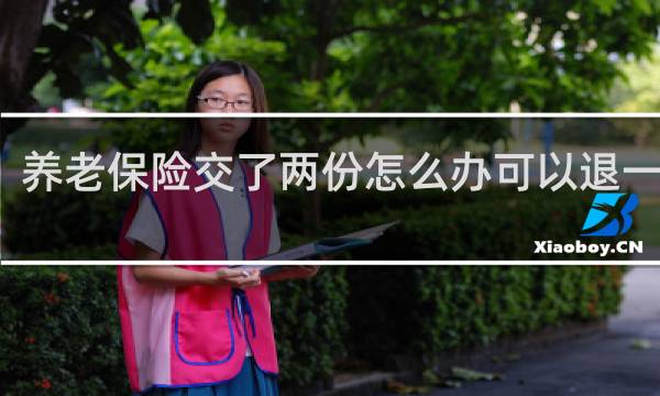 养老保险交了两份怎么办可以退一份吗
