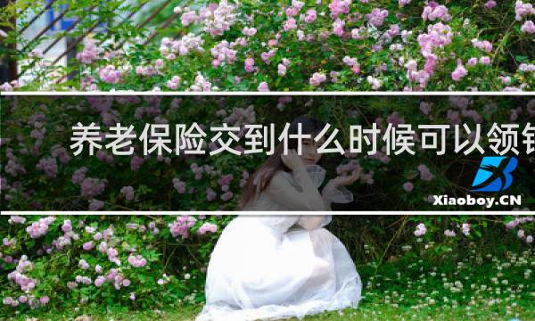 养老保险交到什么时候可以领钱