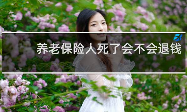 养老保险人死了会不会退钱