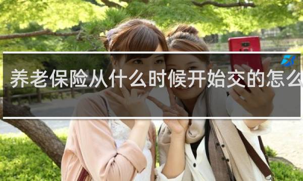 养老保险从什么时候开始交的怎么查的