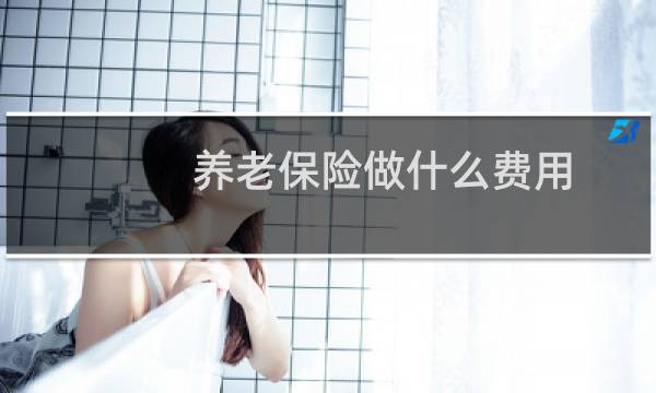 养老保险做什么费用