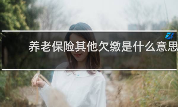 养老保险其他欠缴是什么意思