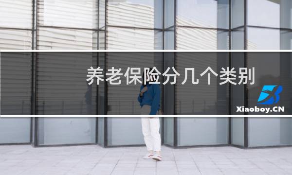 养老保险分几个类别