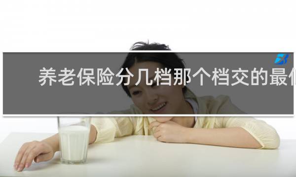 养老保险分几档那个档交的最低