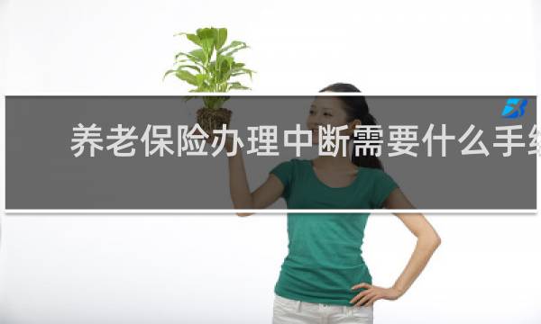 养老保险办理中断需要什么手续