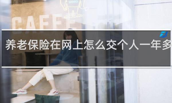 养老保险在网上怎么交个人一年多少钱