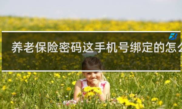 养老保险密码这手机号绑定的怎么改