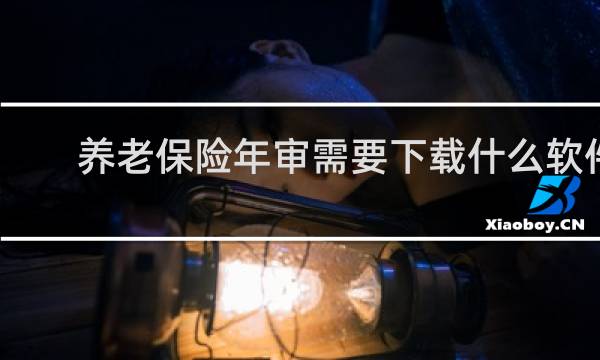 养老保险年审需要下载什么软件
