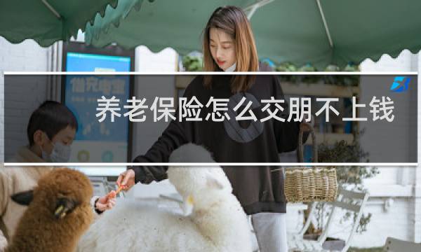 养老保险怎么交朋不上钱