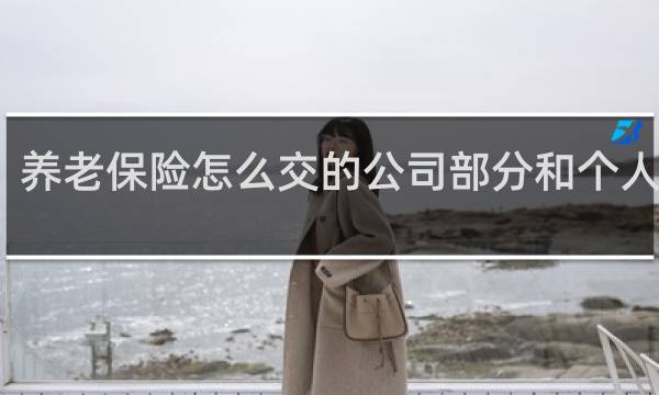 养老保险怎么交的公司部分和个人部分