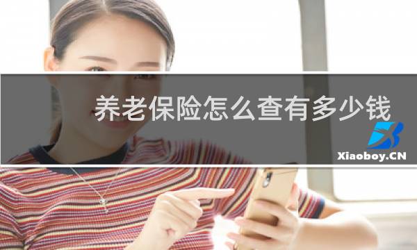 养老保险怎么查有多少钱