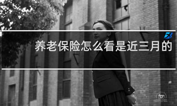 养老保险怎么看是近三月的