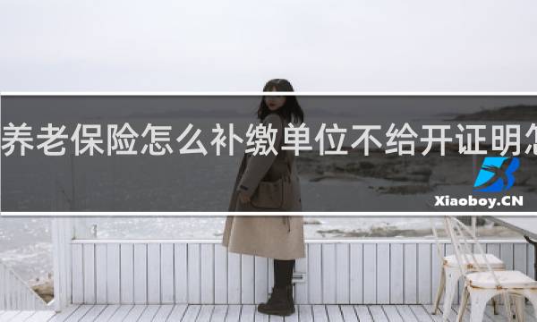 养老保险怎么补缴单位不给开证明怎么力