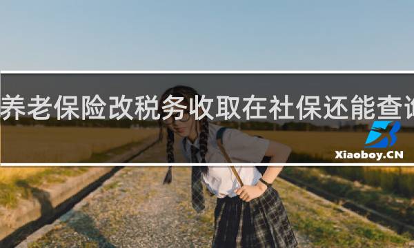 养老保险改税务收取在社保还能查询到吗