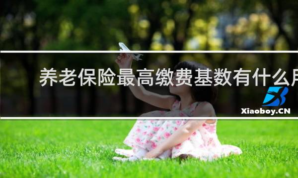 养老保险最高缴费基数有什么用