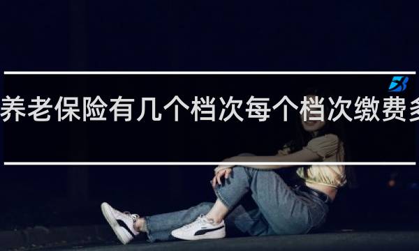 养老保险有几个档次每个档次缴费多少钱