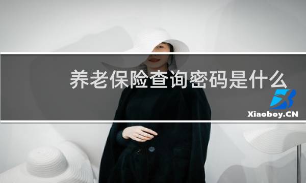 养老保险查询密码是什么