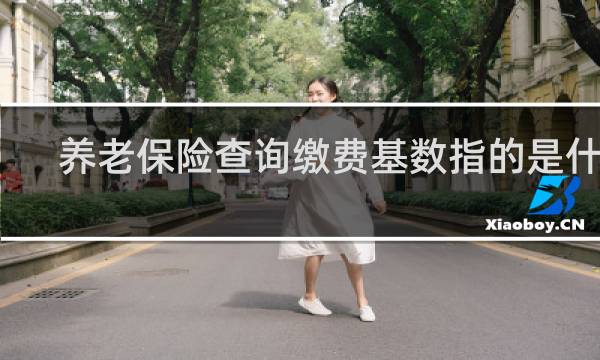 养老保险查询缴费基数指的是什么