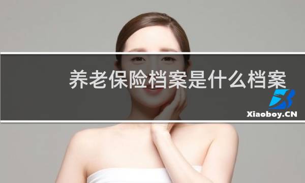 养老保险档案是什么档案