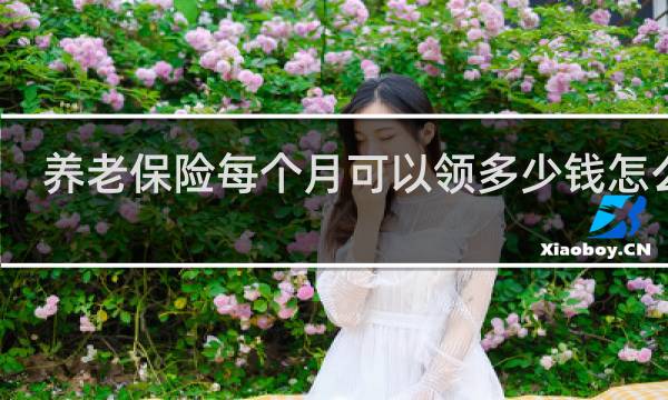 养老保险每个月可以领多少钱怎么算