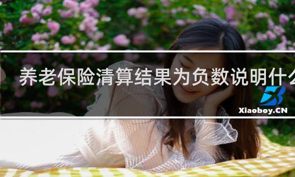 养老保险清算结果为负数说明什么呢