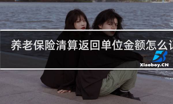 养老保险清算返回单位金额怎么记账