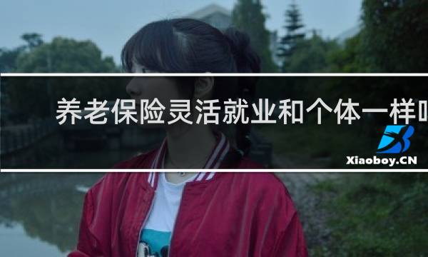 养老保险灵活就业和个体一样吗