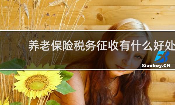 养老保险税务征收有什么好处