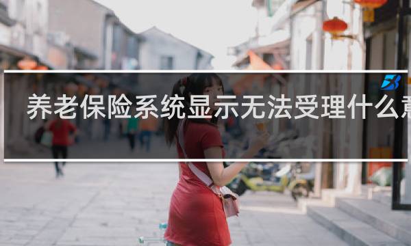 养老保险系统显示无法受理什么意思