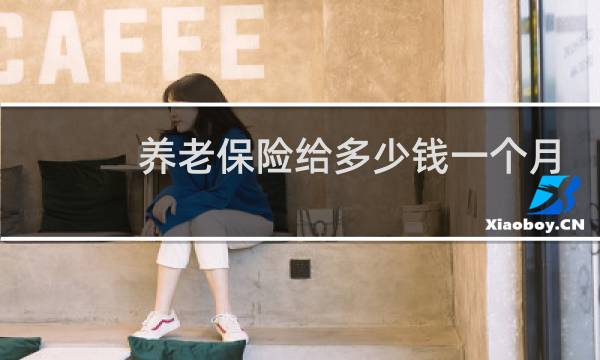 养老保险给多少钱一个月