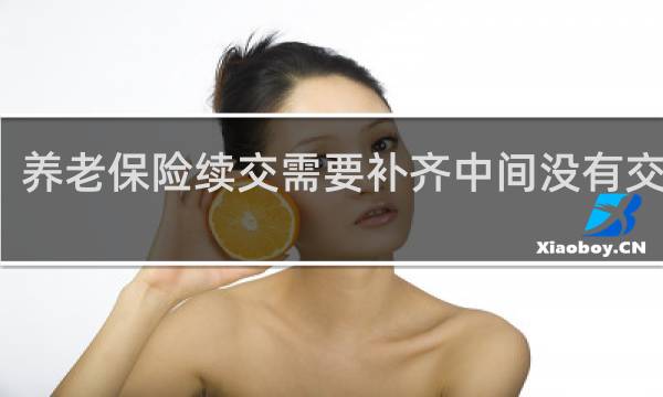 养老保险续交需要补齐中间没有交的吗