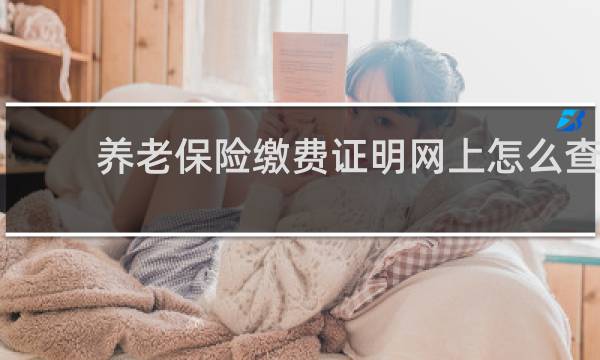 养老保险缴费证明网上怎么查