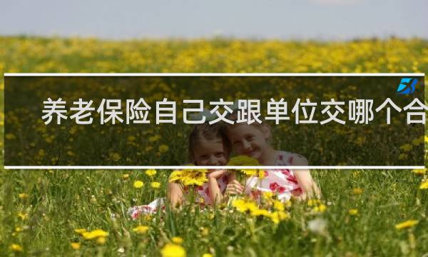 养老保险自己交跟单位交哪个合适