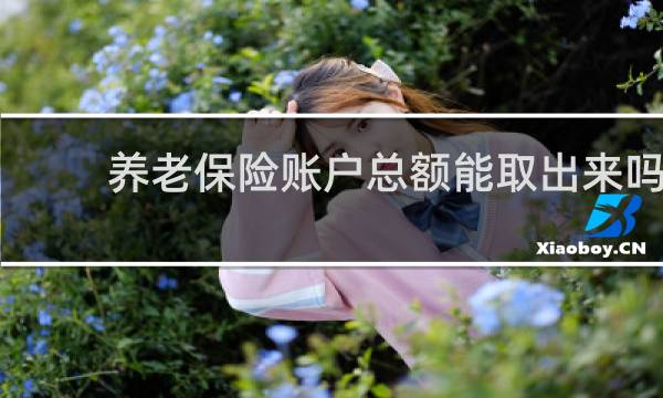 养老保险账户总额能取出来吗