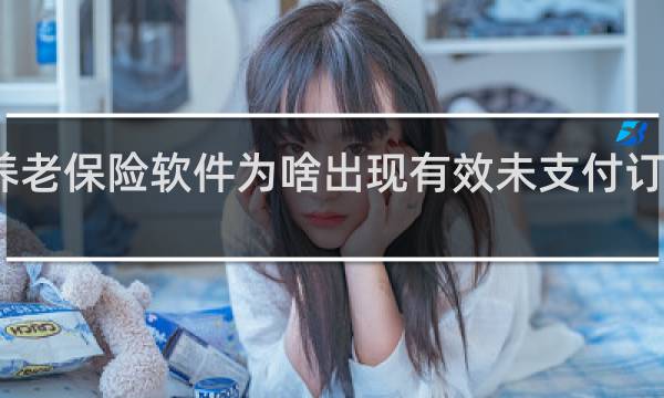 养老保险软件为啥出现有效未支付订单信息