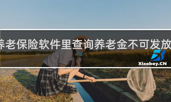 养老保险软件里查询养老金不可发放啥意思