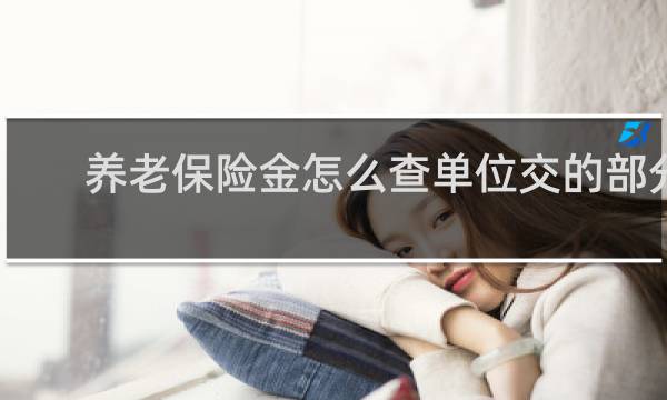 养老保险金怎么查单位交的部分