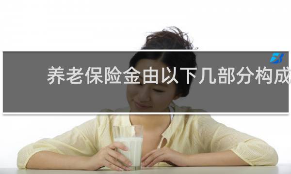 养老保险金由以下几部分构成
