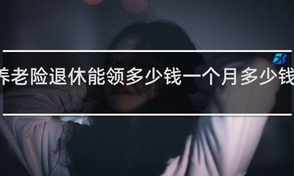 养老险退休能领多少钱一个月多少钱一个月