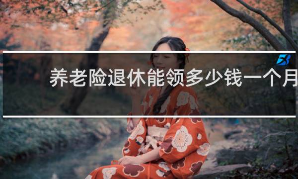 养老险退休能领多少钱一个月