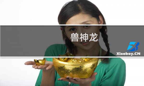 兽神龙 攻略