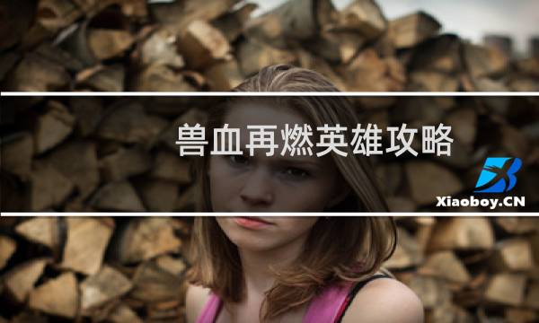 兽血再燃英雄攻略