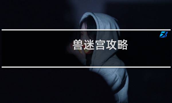 兽迷宫攻略